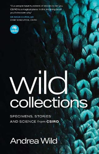 Cover image for Wild Collections