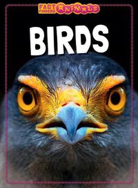 Cover image for Birds