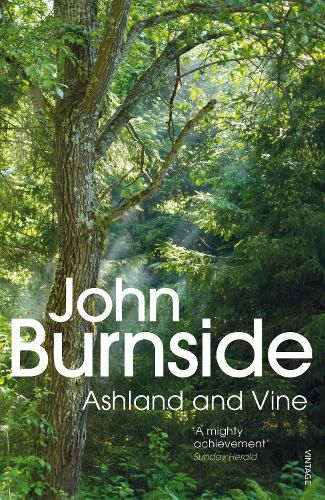 Cover image for Ashland & Vine