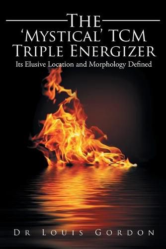 Cover image for The 'Mystical' TCM Triple Energizer: Its Elusive Location and Morphology Defined