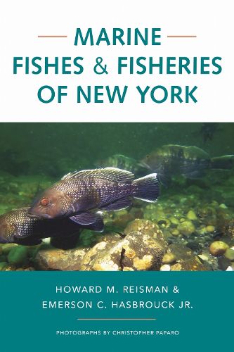 Cover image for Marine Fishes and Fisheries of New York