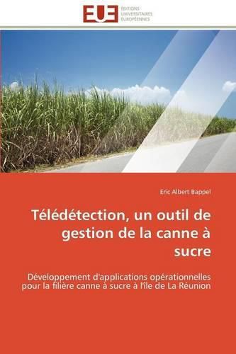 Cover image for T L D Tection, Un Outil de Gestion de La Canne Sucre