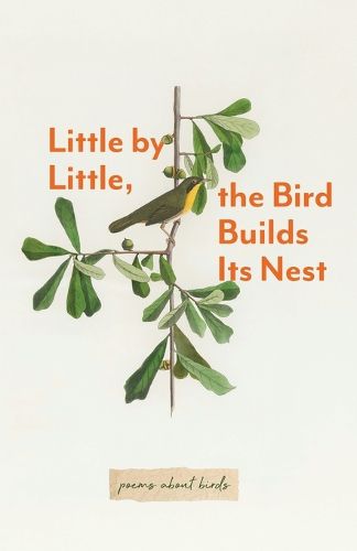 Cover image for Little By Little, The Bird Builds Its Nest