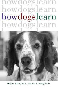 Cover image for How Dogs Learn