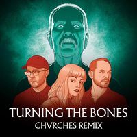 Cover image for Turning The Bones 