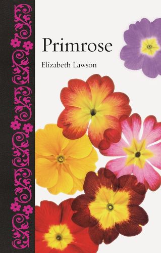 Cover image for Primrose