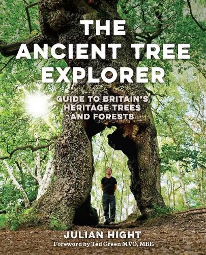 Cover image for The Ancient Tree Explorer