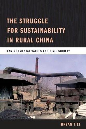 Cover image for The Struggle for Sustainability in Rural China: Environmental Values and Civil Society