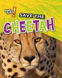 Cover image for Save the Cheetah