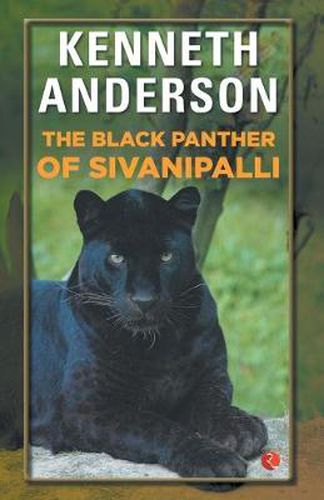 Cover image for The Black Panther of Sivanipalli