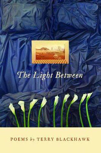 Cover image for The Light Between