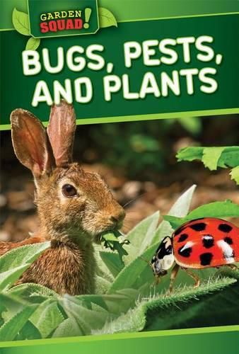 Cover image for Bugs, Pests, and Plants