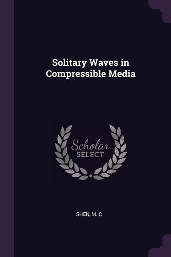 Cover image for Solitary Waves in Compressible Media