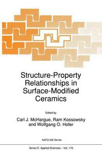 Cover image for Structure-Property Relationships in Surface-Modified Ceramics