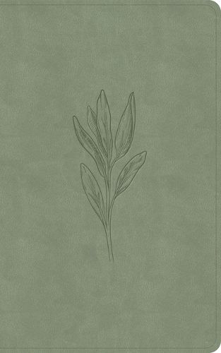 Cover image for KJV Single-Column Personal Size Bible, Sage Suedesoft Leathertouch