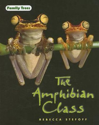 The Amphibian Class