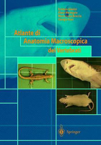 Atlante Di Anatomia Macroscopica Dei Vertebrati