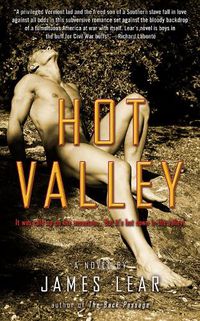 Cover image for Hot Valley: A Novel