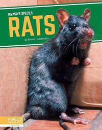 Cover image for Invasive Species: Rats