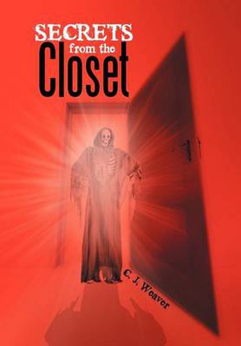 Cover image for Secrets from the Closet