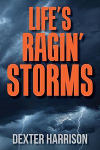 Cover image for Life's Ragin' Storms
