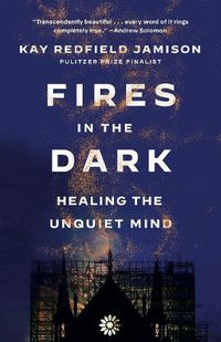 Cover image for Fires in the Dark