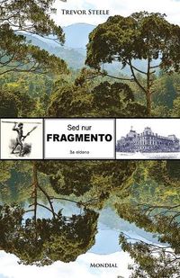 Cover image for Sed nur fragmento (Originala romano en Esperanto)