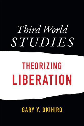 Cover image for Third World Studies: Theorizing Liberation