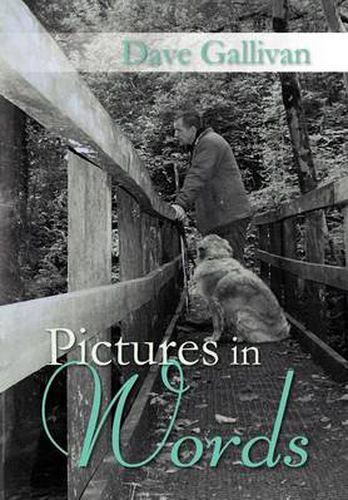 Cover image for Pictures in Words