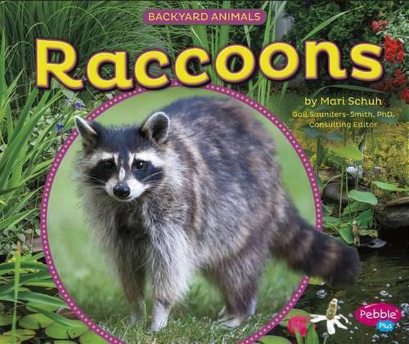 Cover image for Raccoons