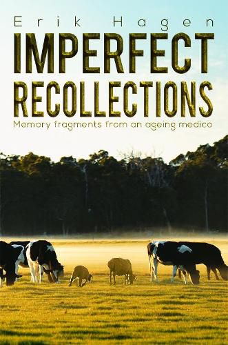 Cover image for Imperfect Recollections