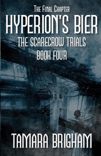 Cover image for Hyperion's Bier