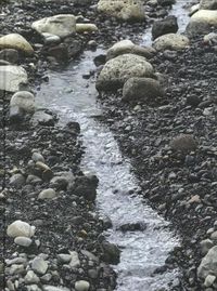 Cover image for Olafur Eliasson: Riverbed
