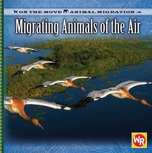 Cover image for Migrating Animals of the Air