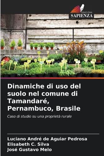 Cover image for Dinamiche di uso del suolo nel comune di Tamandare, Pernambuco, Brasile