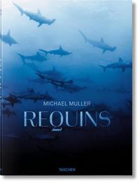 Cover image for Michael Muller. Requins