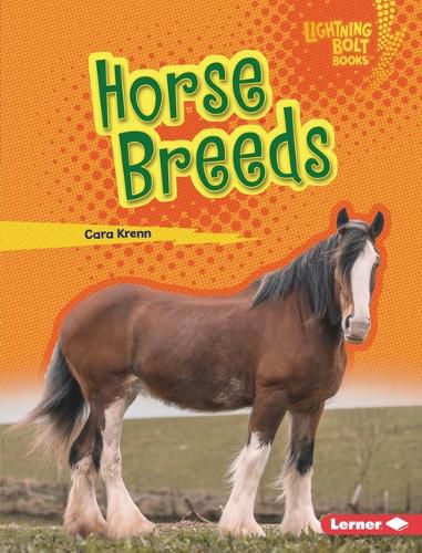 Cover image for Horse Breeds