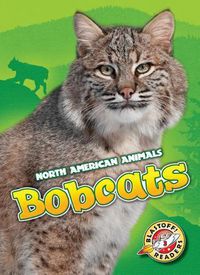 Cover image for Bobcats