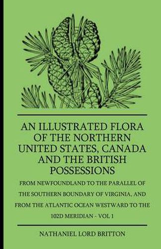 Cover image for An Illustrated Flora Of The Northern United States, Canada And The British Possessions - From Newfoundland To The Parallel Of The Southern Boundary Of Virginla, And From The Atlantic Ocean Westward To The 102D Meridian - Vol 1