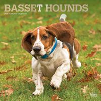 Cover image for Basset Hounds 2020 Square Wall Calendar