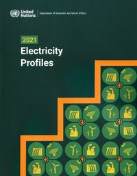 Cover image for 2021 Electricity Profiles