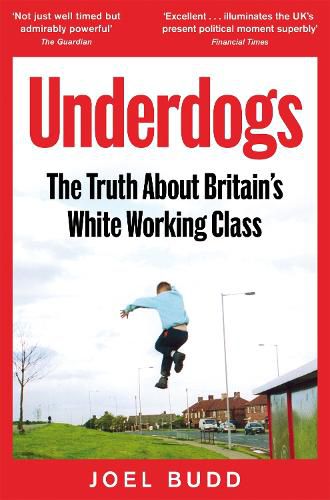 Cover image for Underdogs