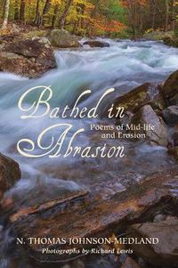 Cover image for Bathed in Abrasion: Poems of Midlife and Erosion