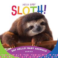 Cover image for Hello Baby Sloth!