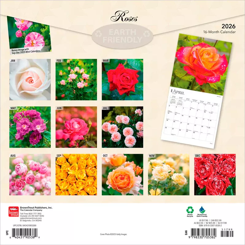 Roses 2026 12 X 24 Inch (Hanging) Monthly Square Wall Calendar Plastic-Free