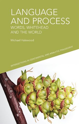 Cover image for Language and Process: Words, Whitehead and the World