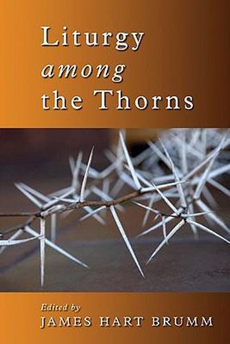 Cover image for Liturgy Among the Thorns: Essays on Worship in the Reformed Church in America