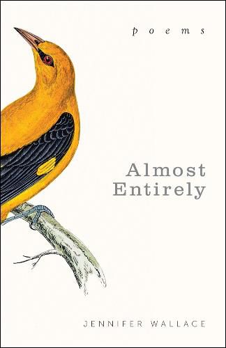 Cover image for Almost Entirely: Poems