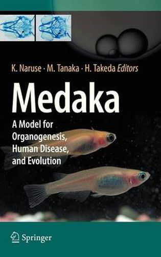 Cover image for Medaka: A Model for Organogenesis, Human Disease, and Evolution