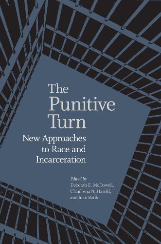 Cover image for The Punitive Turn